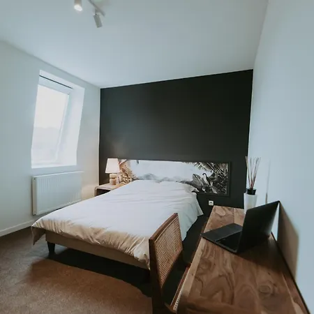 Biloba Coliving House 3* שרלרואה