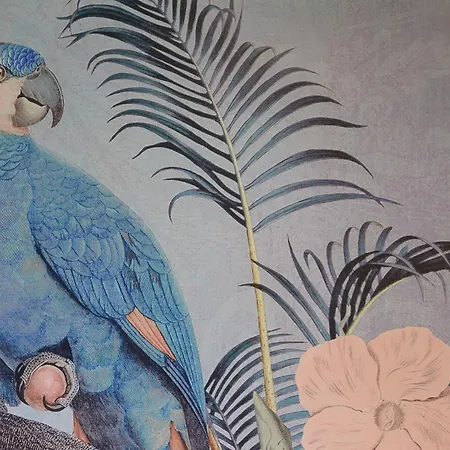 Biloba Coliving House 3* Charleroi